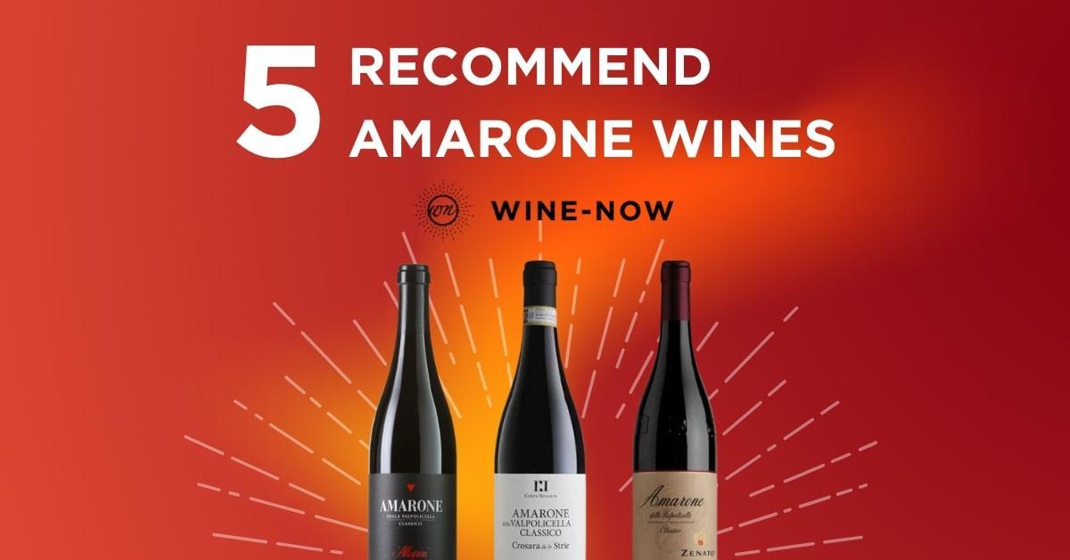 5 ไวน์ Amarone ชั้นเยี่ยมที่คุณต้องลอง | ไวน์แดงอิตาลีระดับพรีเมียม