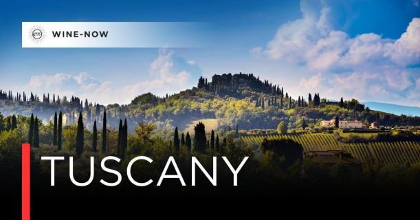 Tuscany:  ดินแดนเนินเขา มีซ่อนเรื่องราวอยู่ในทุกขวด