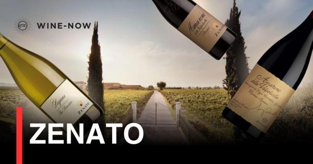 Zenato – ตำนานไวน์จากหัวใจแห่ง Lake Garda และ Valpolicella