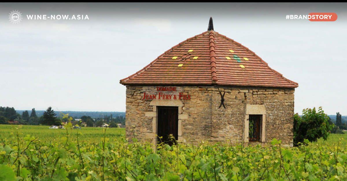 Domaine Jean Féry & Fils ไวน์ Organic จากเขต Burgundy