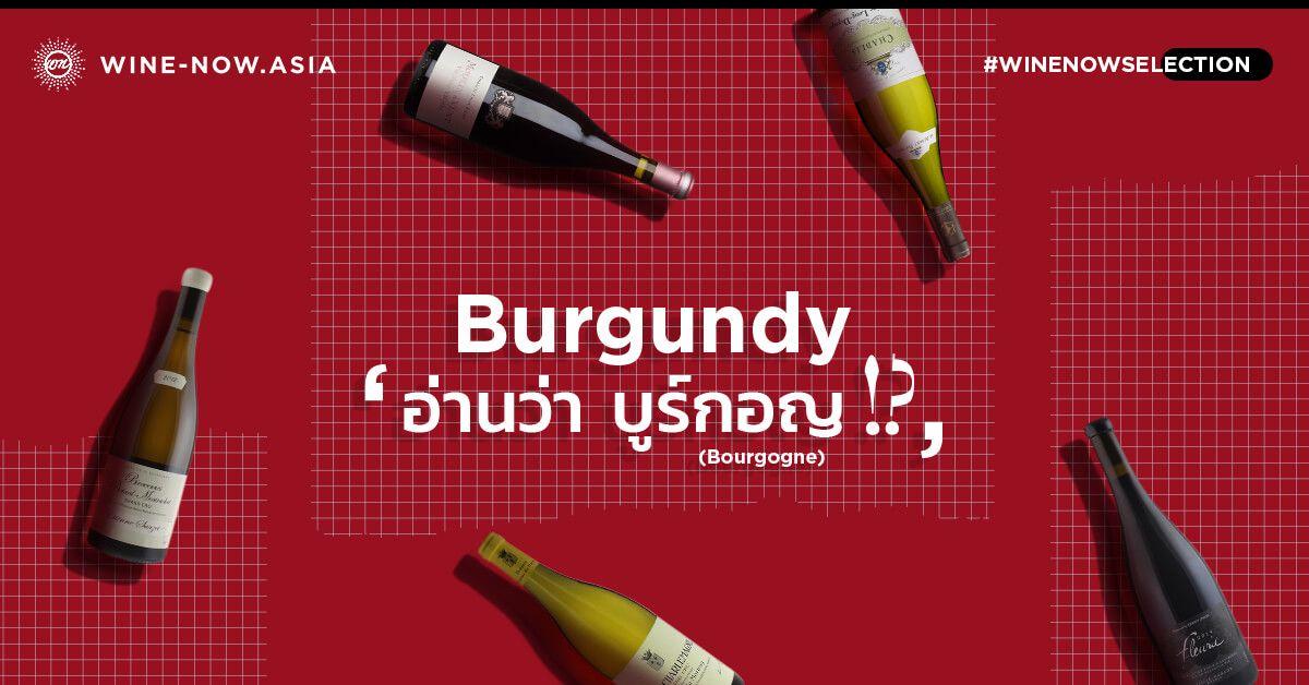 ต้นตำหรับไวน์ Bourgogne (Burgundy) ที่พลาดไม่ได้ 