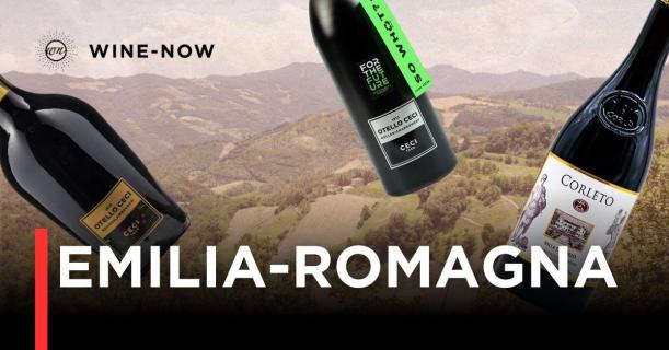 Emilia-Romagna – ดินแดนแห่งรสชาติและเสน่ห์ไวน์อิตาลี