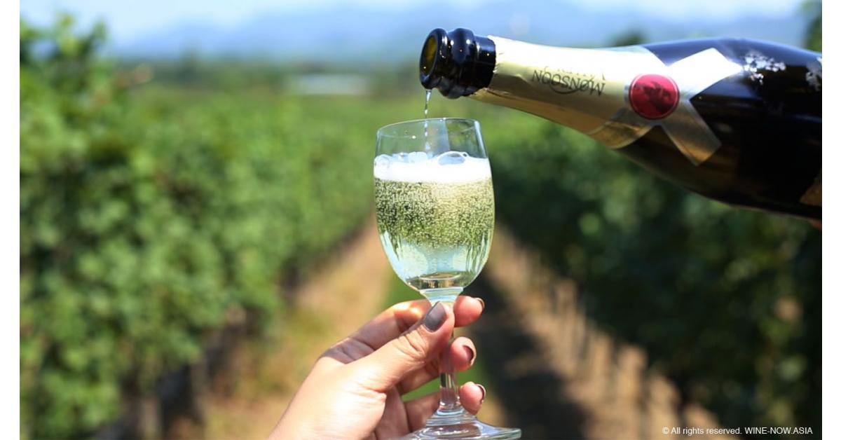 Harvest Festival เทศกาลสำหรับคนรักไวน์ ชมวิว ชิมไวน์ ณ Monsoon Valley Vineyard