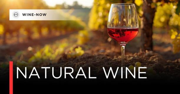 Natural Wine (เนเชอรัล ไวน์) — ไวน์ธรรมชาติที่กลับมาสู่รากเหง้า
