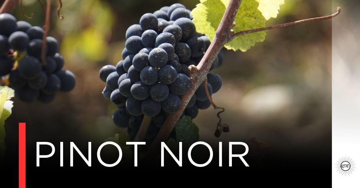 Pinot Noir องุ่นแดงที่ดูแลยาก