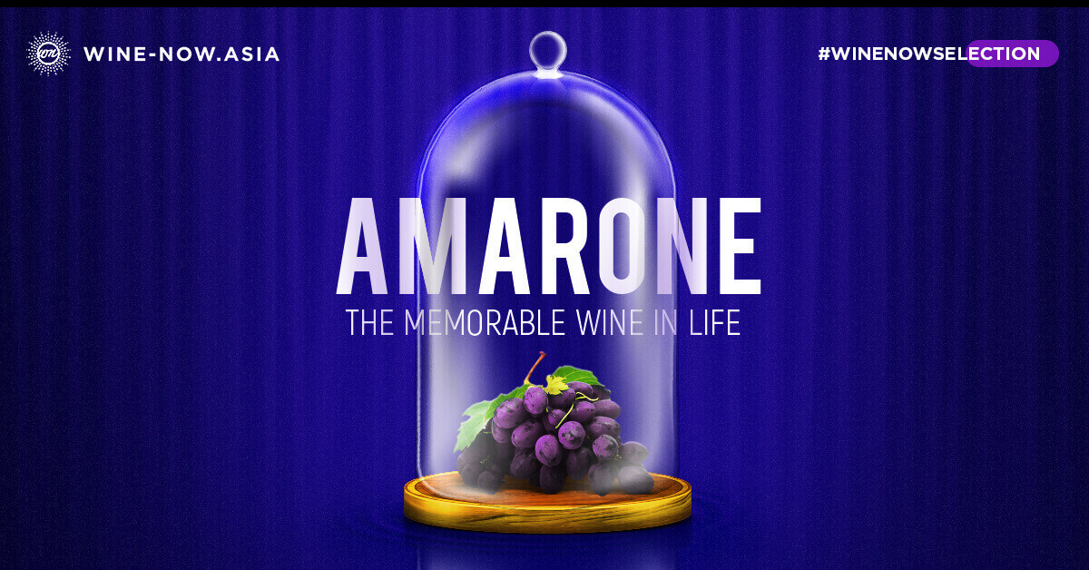 Amarone della Valpolicella 