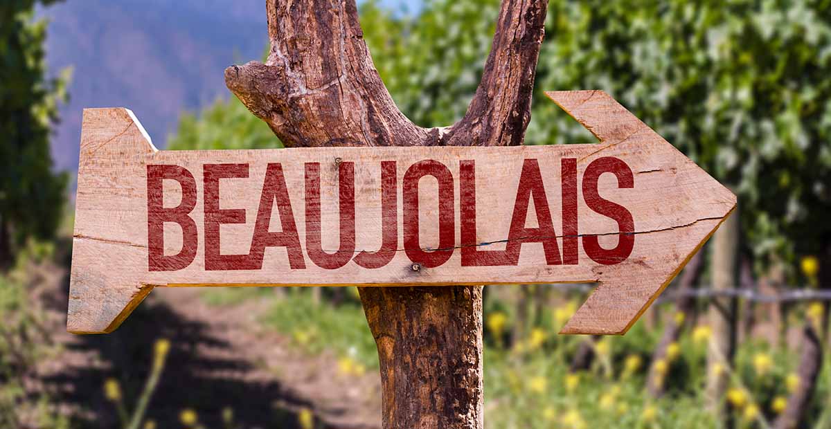 รู้จักกับแคว้น Beaujolais กับเทศกาลไวน์ระดับโลก