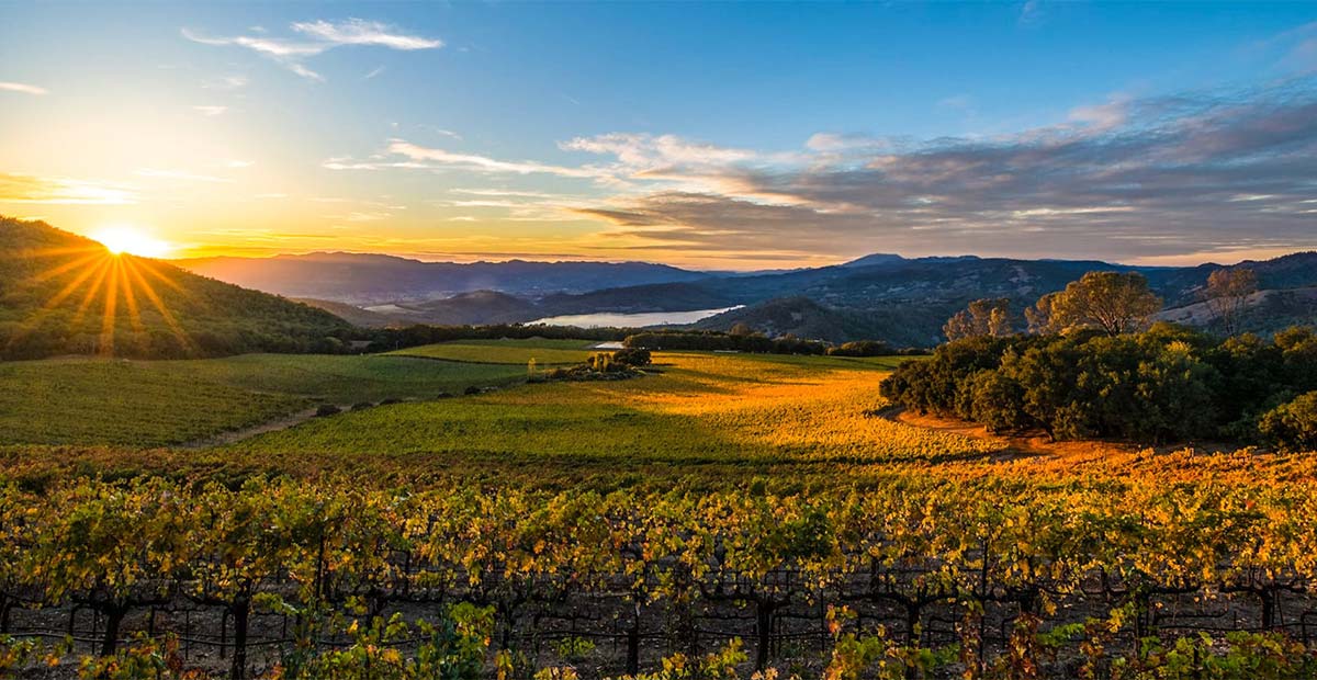 Napa Valley