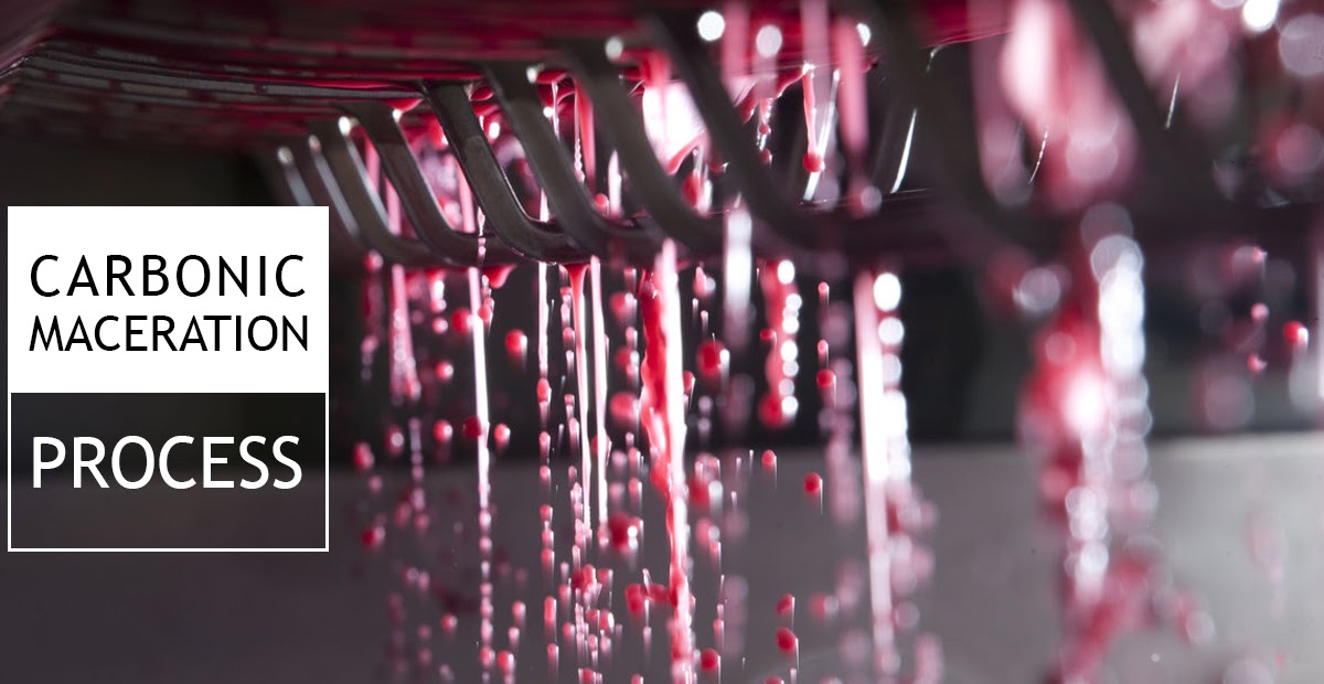 รู้จักกับแคว้น Beaujolais กับเทศกาลไวน์ระดับโลก