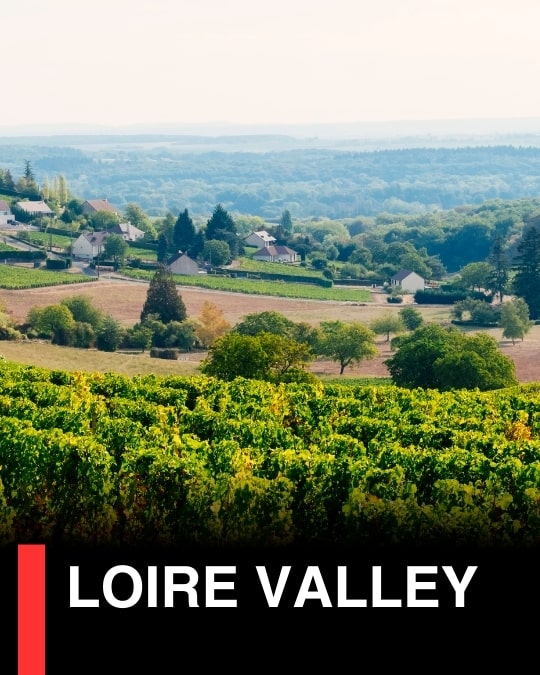 Loire Alsace Provence - Wine-Now.asia