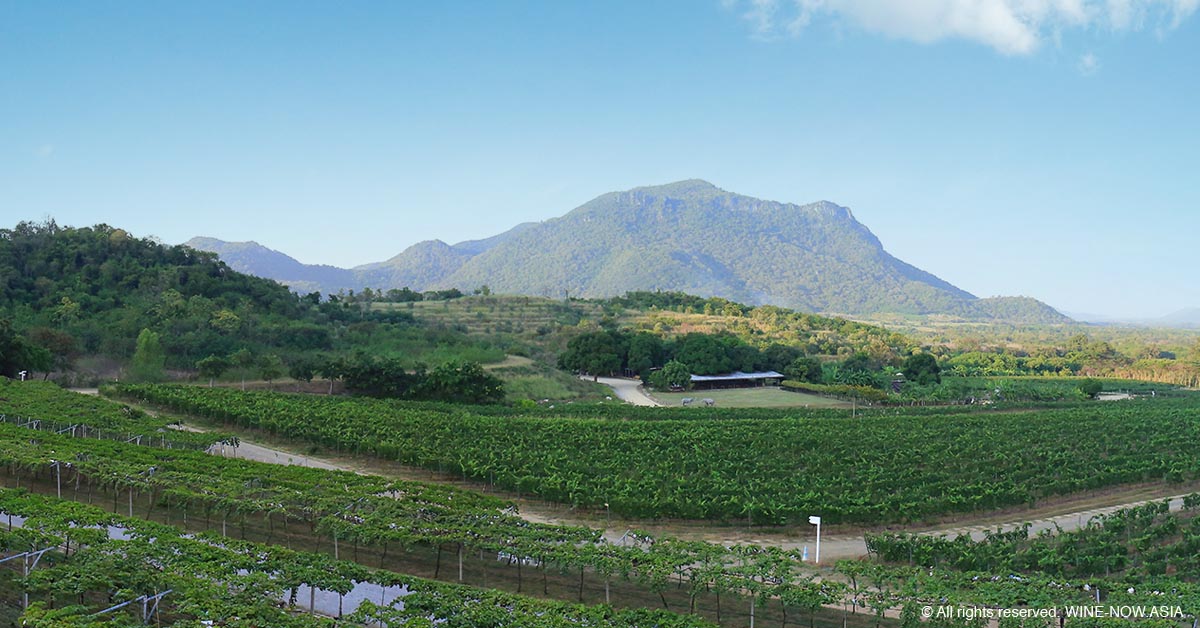 Monsoon Valley Harvest Fes-View