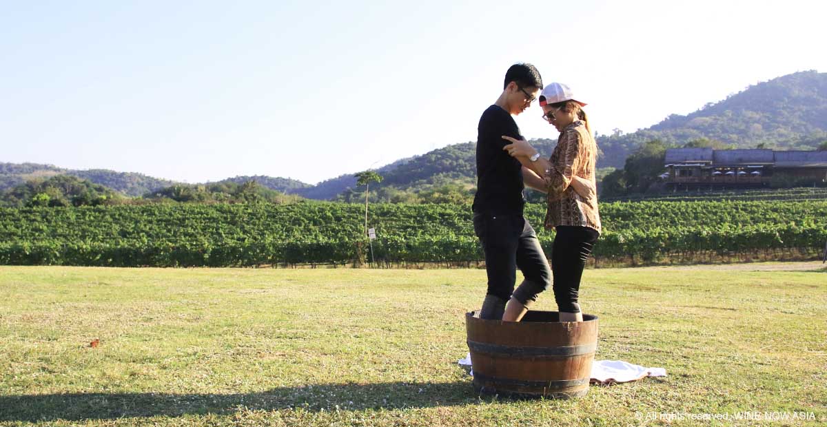 Monsoon Valley Harvest Fes-Wine Maker