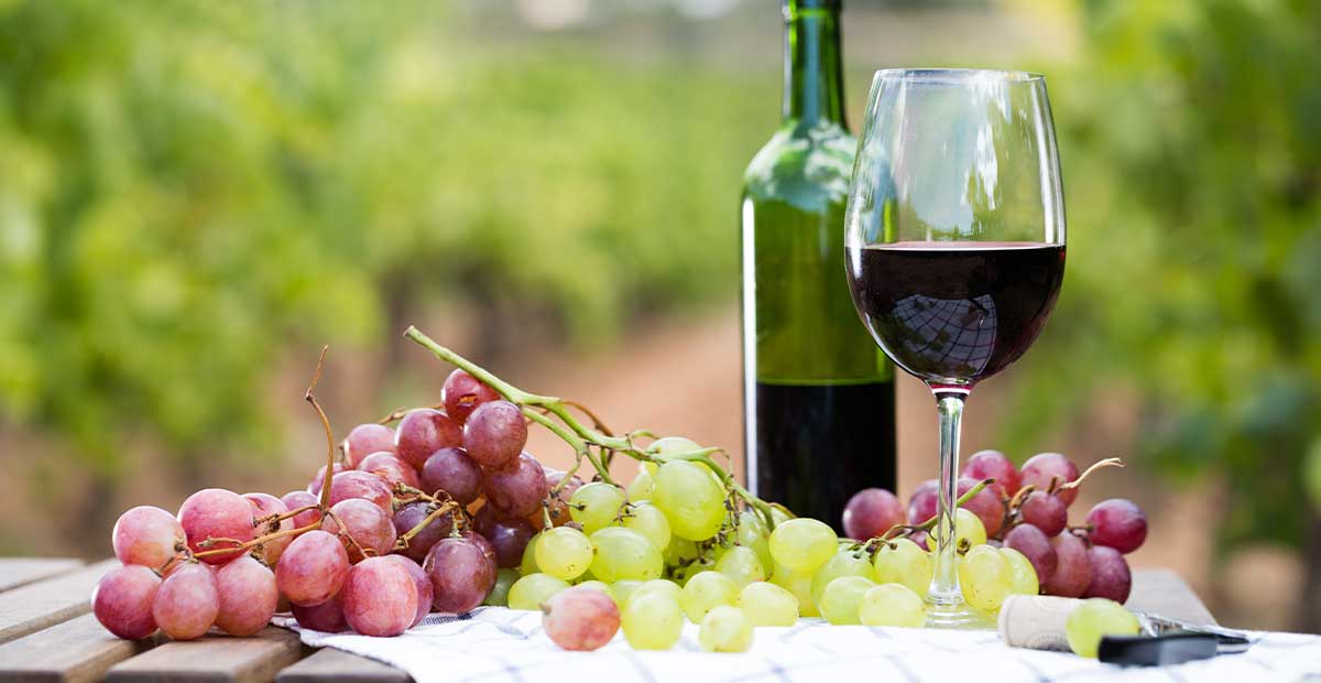 Argentina Wine