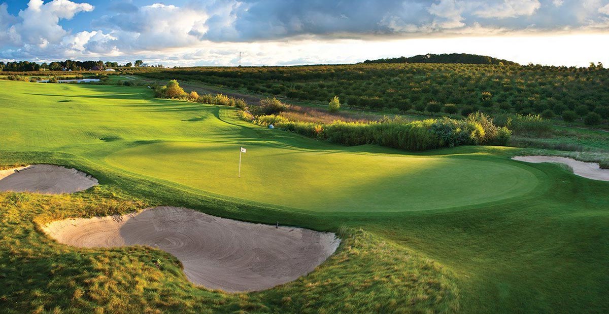 Golf Course Grass Golf Course Grass