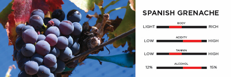 zinfandel