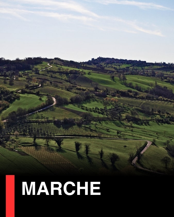 9. Marche - ไวน์มาร์เค