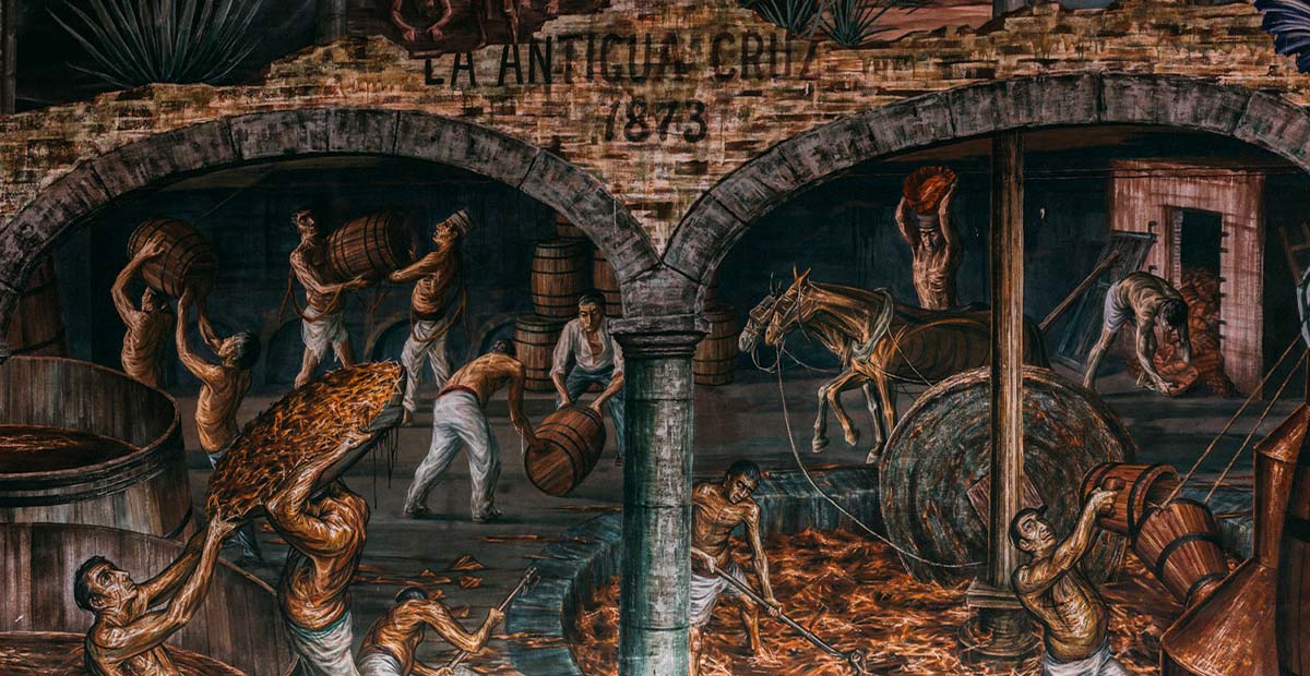 Tequila Making