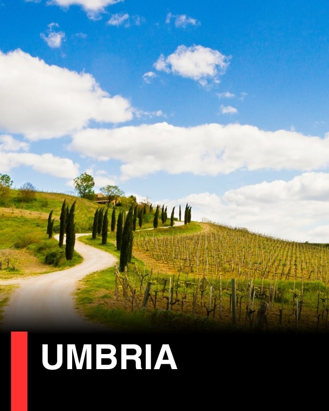 8. Umbria - ไวน์อุมเบรีย