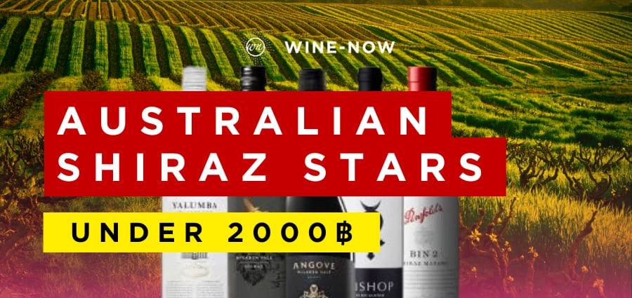 AUSTRALIAN SHIRAZ UNDER 2000 THB