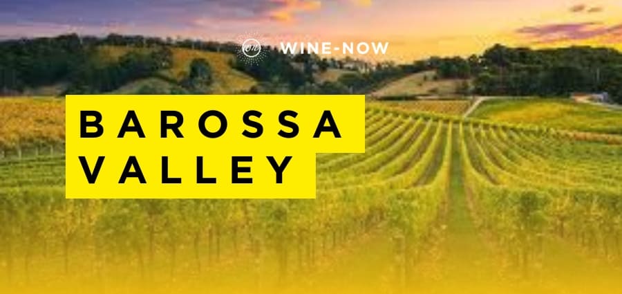 Barossa Valley : One of the best winery regions from New World