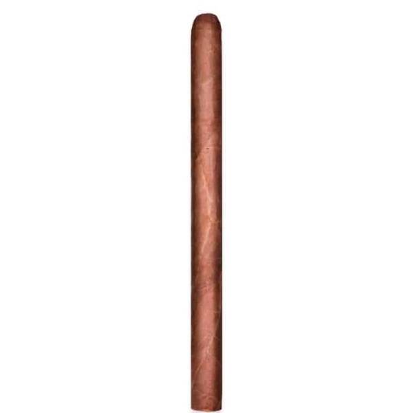 Confidenciaal  Lancero