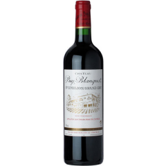 Chateau Puy Blanquet  Saint-Emilion 2008