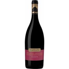 Quinta Do Carvalhais  Colheita