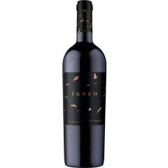 Bodega Volcanes de Chile Igneo (Wine)
