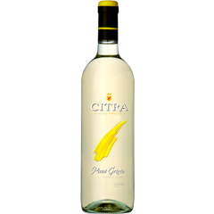Citra  Pinot Grigio "Terre Siciliane"