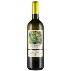 Michele Chiarlo  Roero Arneis Le Madri DOCG