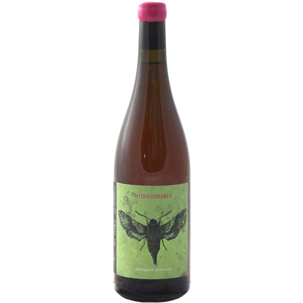 2Naturkinder  Weinschwärmer