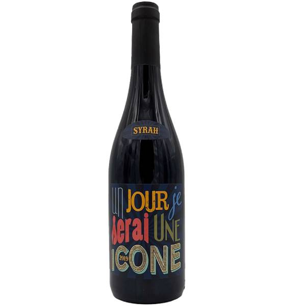Jeff Carrel  Un Jour Je Serai Une Icone Syrah