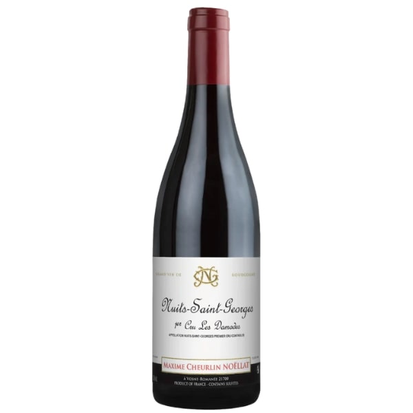 Domaine Georges Noellat Nuits-Saint-Georges 1er Cru "Les Damodes"