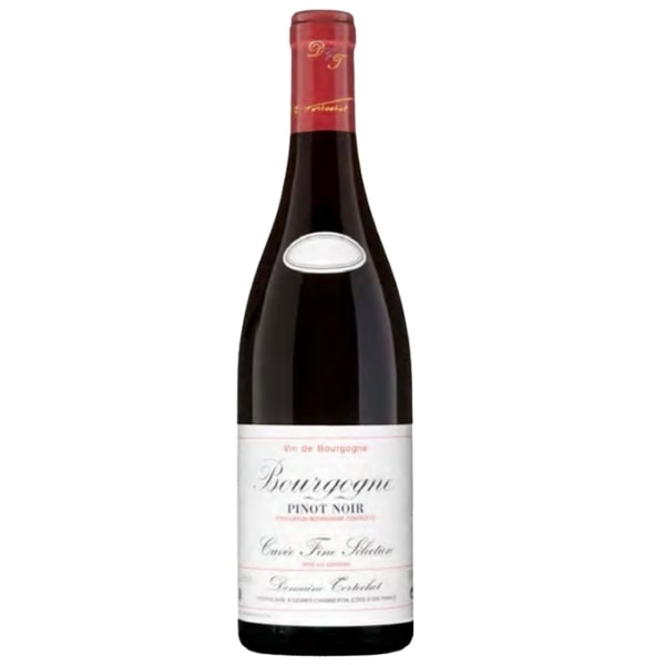 Domaine Tortochot Bourgogne Pinot Noir “Fine Sélection”