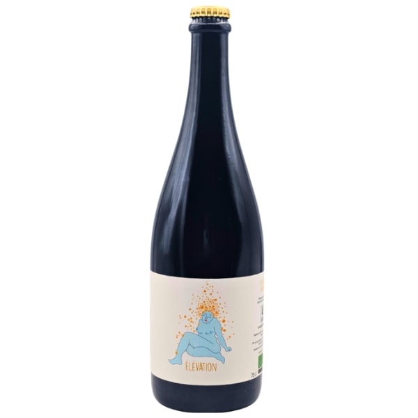 Domaine Coustarret Elevation Pet Nat
