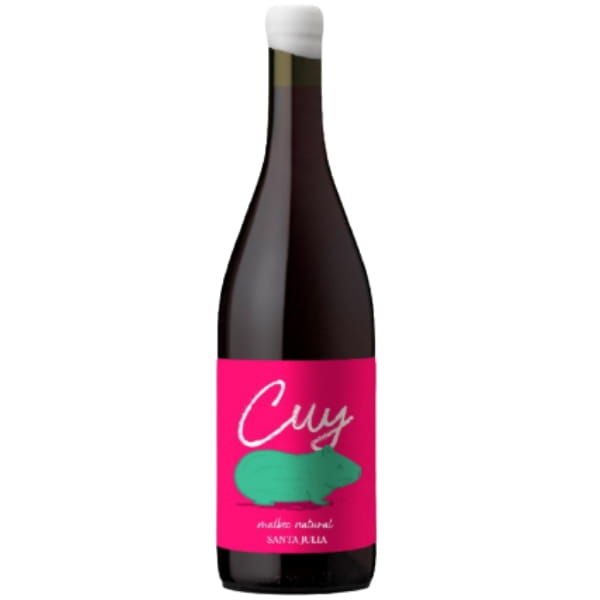 Santa Julia Cuy Malbec Natural Wine