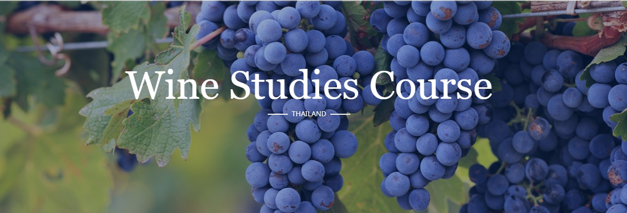 wine studies thailand wine studies thailand