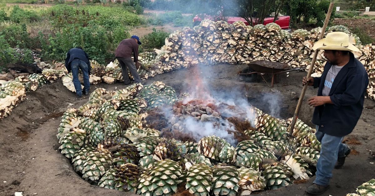 Mezcal Agave Smoking 2