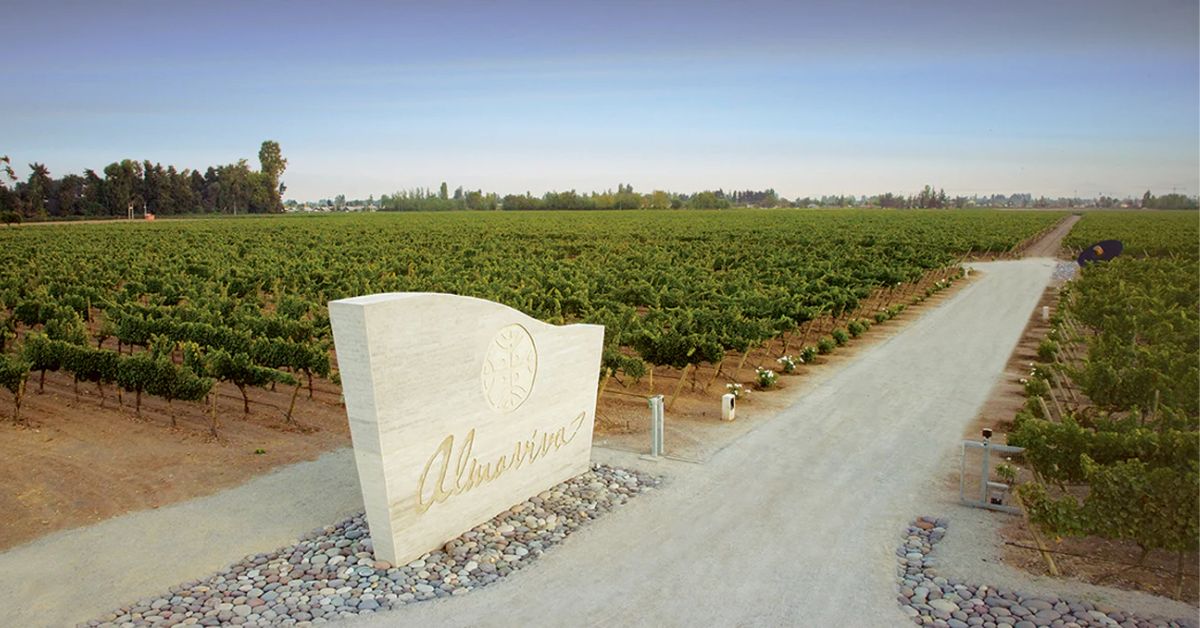 Almaviva Vineyard