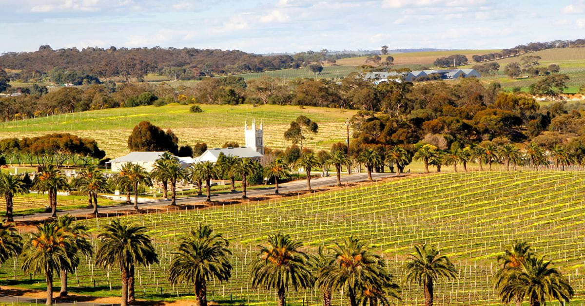 Barossa Valley Vineyard Australia