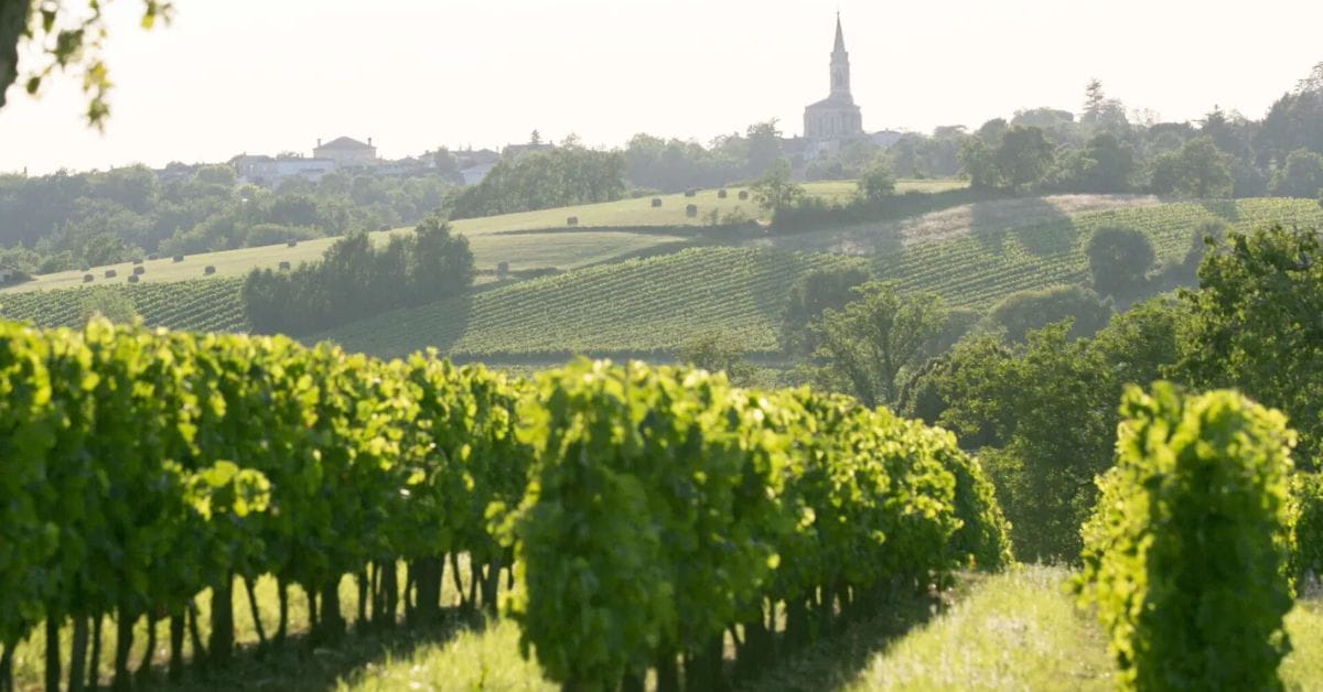 Bordeaux