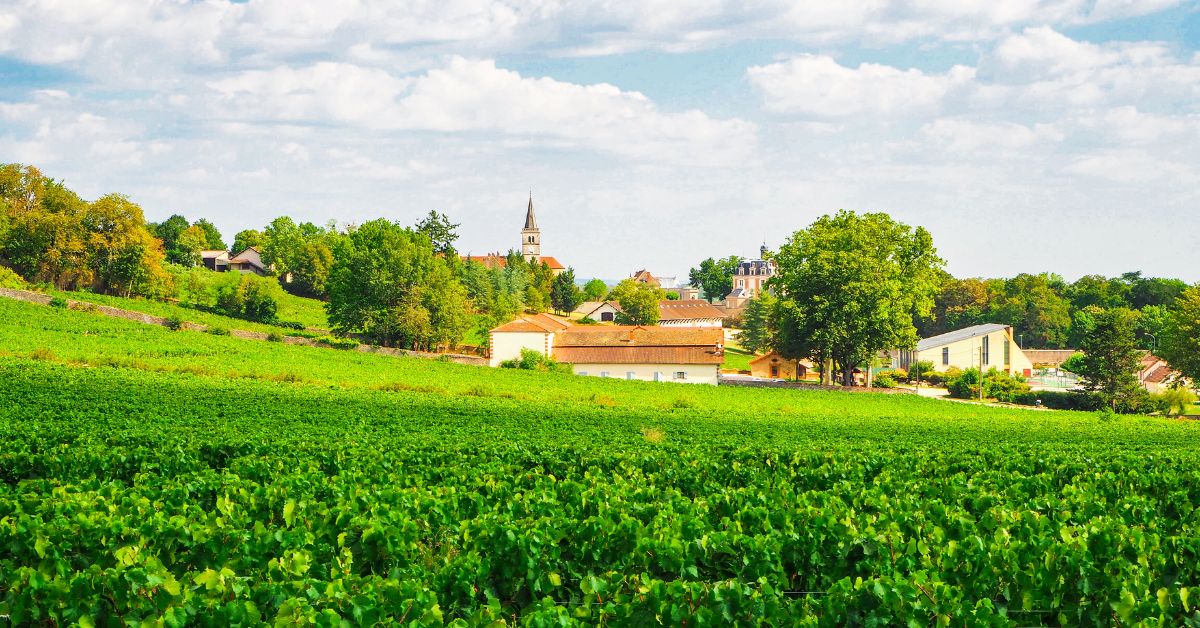 Côte de Beaune