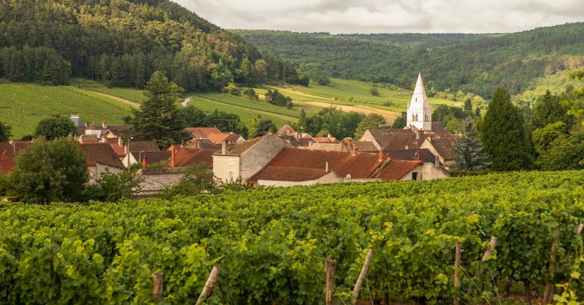 Côte de Beaune