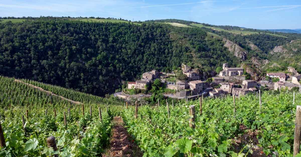 Rhône Valley Côtes du Rhône