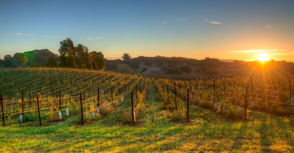 Napa Valley
