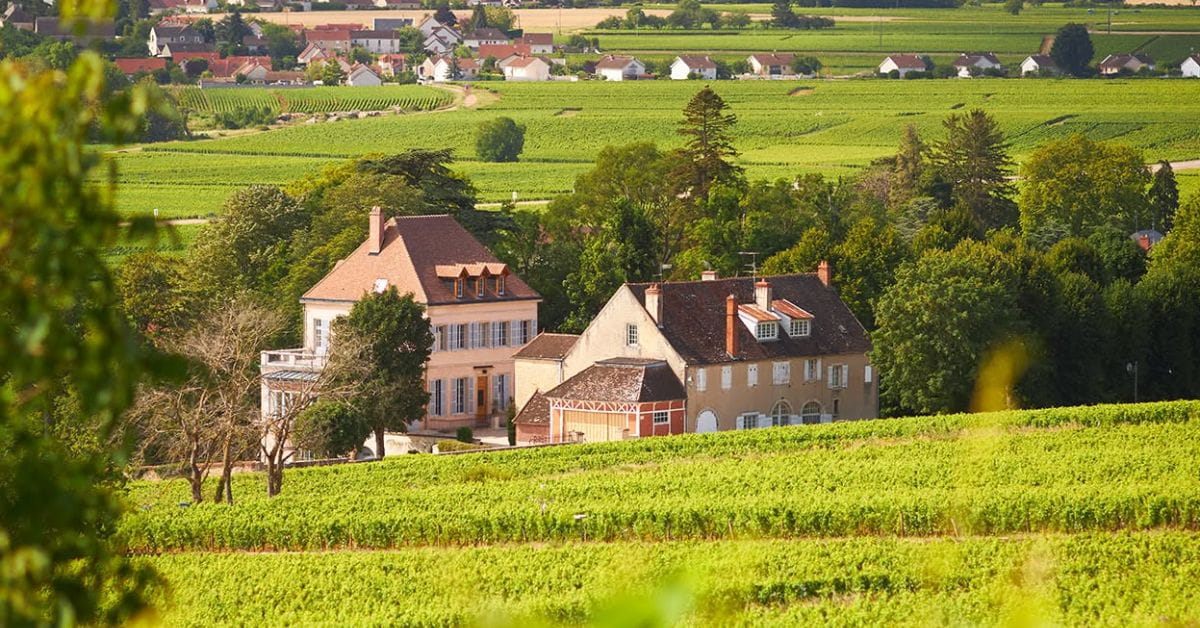Château Corton Grancey