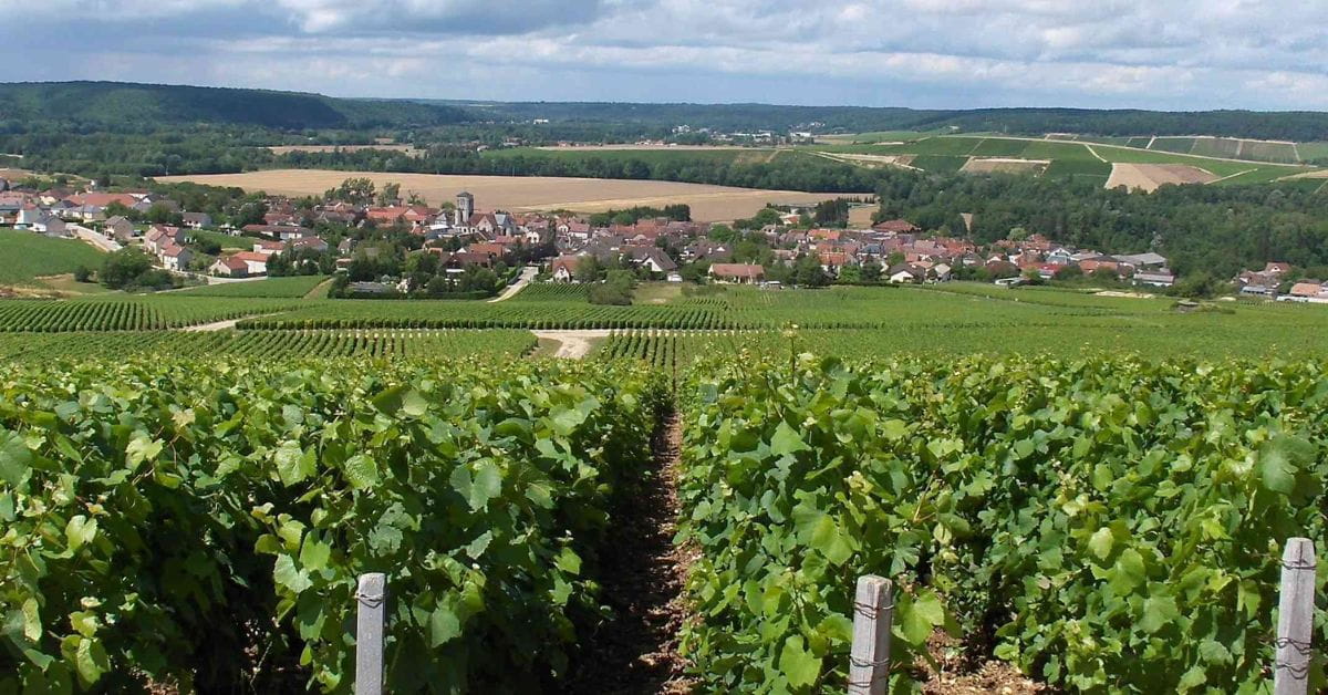 Champagne Huguenot Tassin