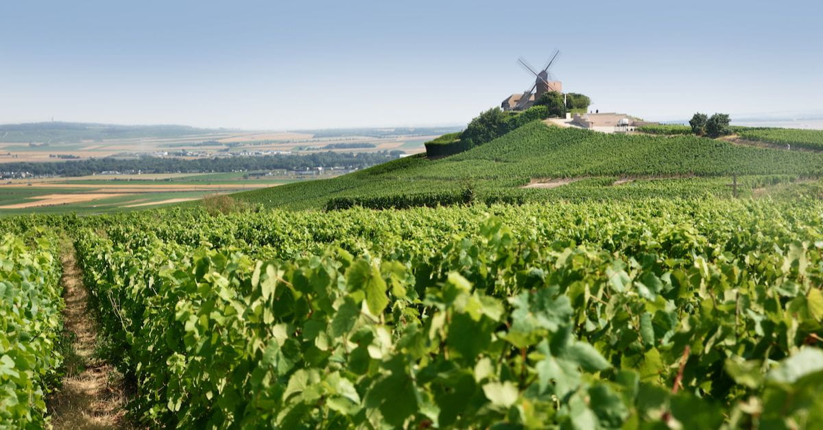 Champagne Rousseaux Batteux