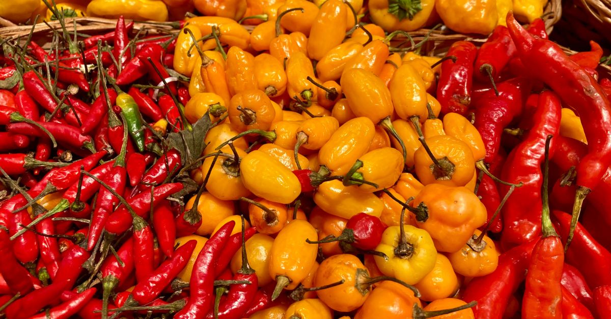 Chili