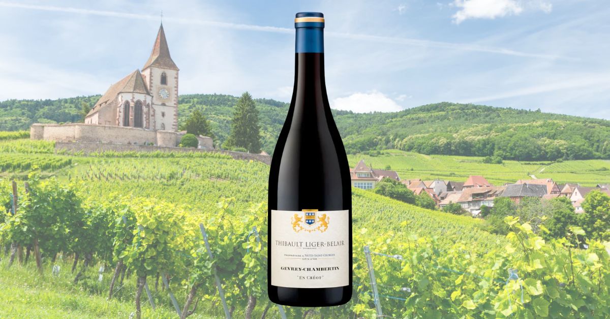 Domaine Thibault Liger-Belair Gevrey-Chambertin